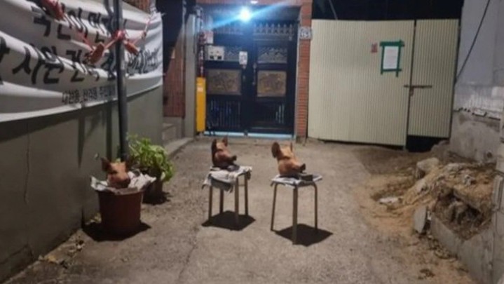 Tolak Pendirian Masjid di Korsel, Warga Blokir Jalan Hingga Letakkan Kepala Babi di Lokasi Pembangunan