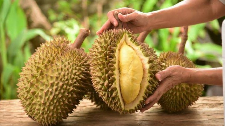 Pemprov Sumbar akan Lakukan Sensus Durian