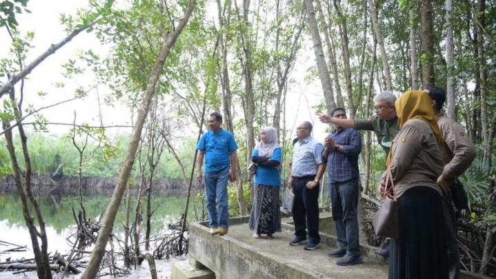 Kawasan Ekowisata Mangrove di Kampus UNRI Dumai akan Dikembangkan Kawasan Ekowisata Mangrove di Kampus UNRI Dumai akan Dikembangkan