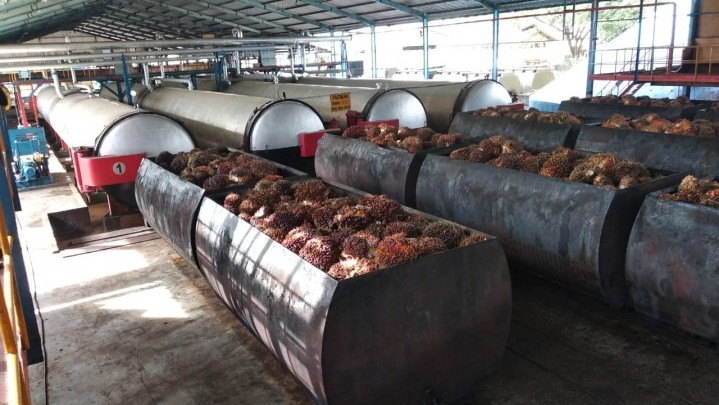 Indonesia Mulai Andalkan Minyak Sawit Jadi BBM Mulai Tahun 2045 Indonesia Mulai Andalkan Minyak Sawit Jadi BBM Mulai Tahun 2045