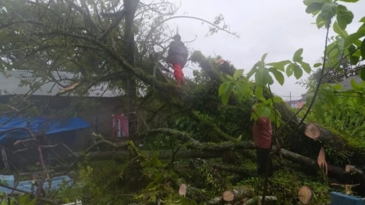 Rumah dan Motor Warga Padang Ditimpa Pohon Tumbang