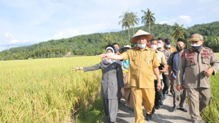 Ratusan Hektar Sawah di Solok Tak Miliki Irigasi Akibat Longsor
