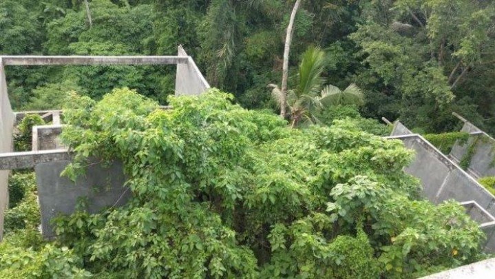 WNI Tipu Putri Kerajaan Saudi Rp505 Miliar WNI Tipu Putri Kerajaan Saudi Rp505 Miliar