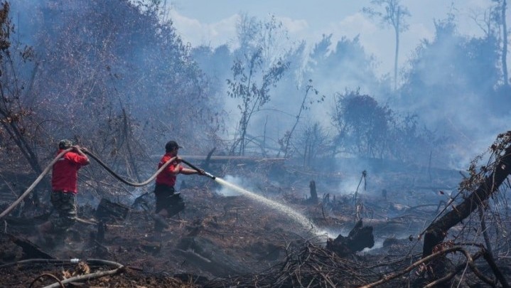 DPRD Bentuk Pansus Pengelolaan Lingkungan Hidup Riau 2022-2051 DPRD Bentuk Pansus Pengelolaan Lingkungan Hidup Riau 2022-2051