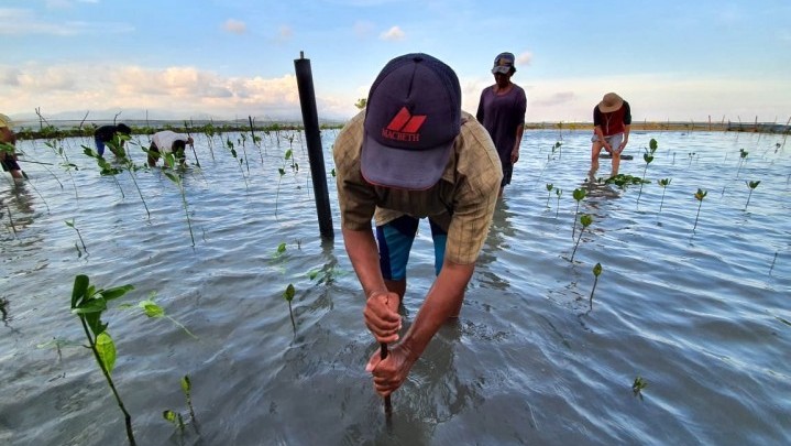 Penurunan Emisi Karbon, Pemprov Riau Gandeng Berbagai Pihak