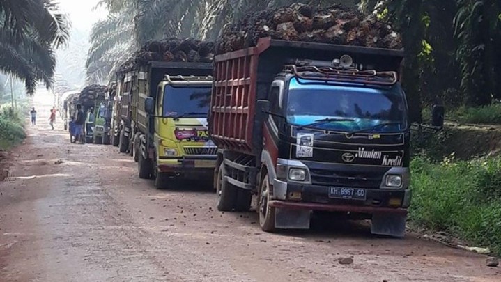 Pengusaha Mengaku Kinerja Industri Sawit 4 Tahun Terakhir Stagnan