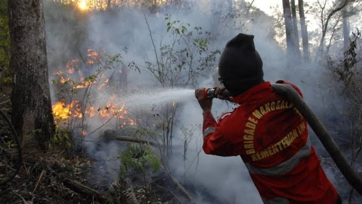 Berikut Sebaran Desa Rawan Karhutla di Riau Berikut Sebaran Desa Rawan Karhutla di Riau