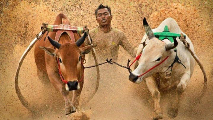 Peluncuran Kalender Pariwisata Tahunan Kabupaten Tanah Datar Digelar di Pekanbaru