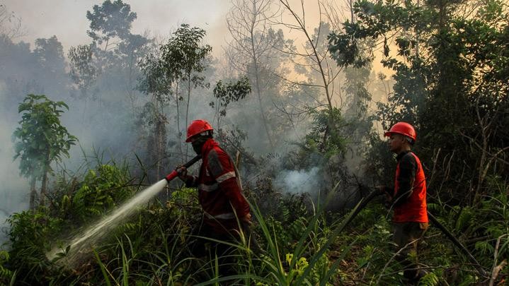 Di Pekanbaru Mulai Terjadi Karhutla Di Pekanbaru Mulai Terjadi Karhutla