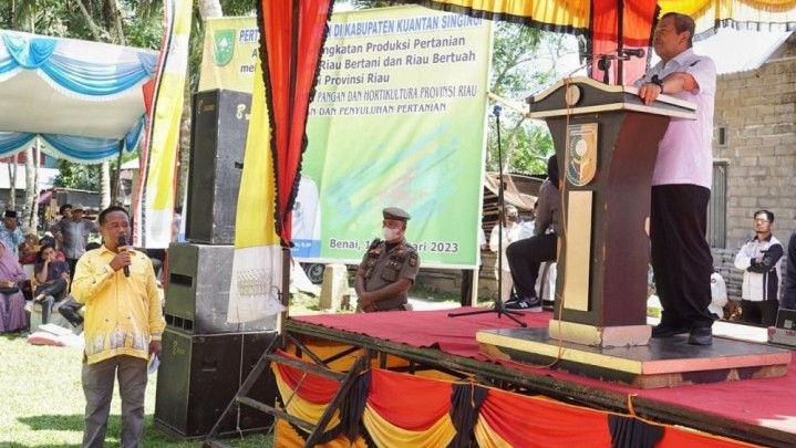 Seperti Ini Perhatian Gubri pada Petani untuk Wujudkan Ketahanan Pangan Riau Seperti Ini Perhatian Gubri pada Petani untuk Wujudkan Ketahanan Pangan Riau