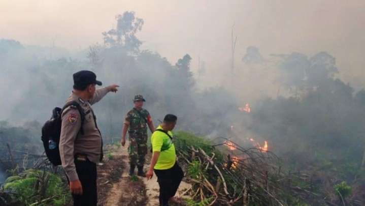 Ternyata Ada 134 Kecamatan di Riau Rawan Karhutla Ternyata Ada 134 Kecamatan di Riau Rawan Karhutla