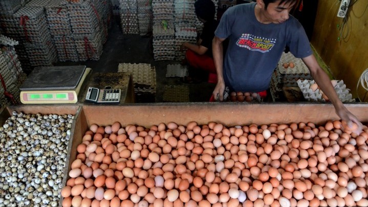 Inflasi di Riau Tertinggi Kedua Nasional Setelah Sumbar Inflasi di Riau Tertinggi Kedua Nasional Setelah Sumbar