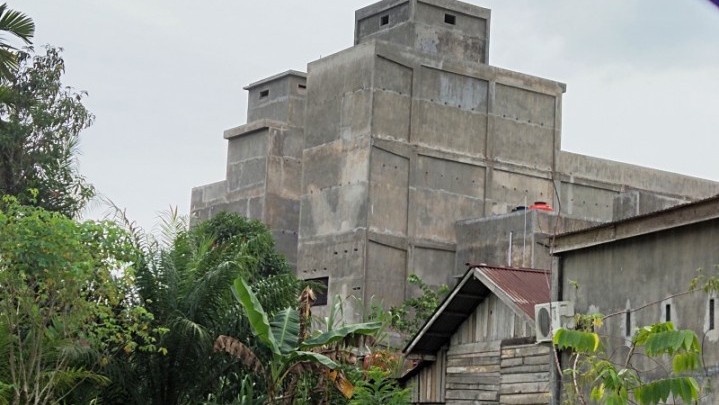 Target Pajak Sarang Burung Walet akan Dievaluasi Bapenda Pekanbaru Target Pajak Sarang Burung Walet akan Dievaluasi Bapenda Pekanbaru
