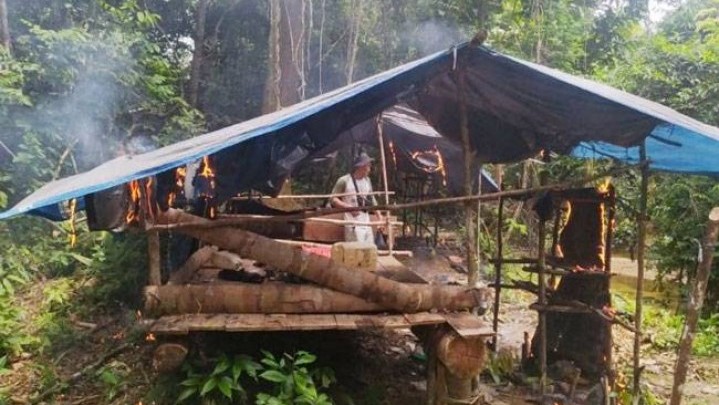 Di Suaka Margasatwa Rimbang Baling Kuansing Berdiri Pondok Liar dan Tanaman Sawit Di Suaka Margasatwa Rimbang Baling Kuansing Berdiri Pondok Liar dan Tanaman Sawit