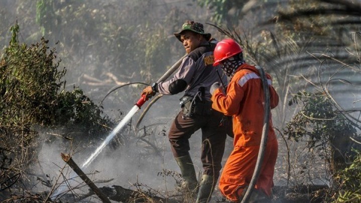 Sejak Awal Tahun Sudah 16 Hektare Lahan di Riau Terbakar