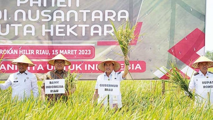 Klaster Rimba Melintang Panen Raya Padi Nusantara 1 Juta Hektare Klaster Rimba Melintang Panen Raya Padi Nusantara 1 Juta Hektare