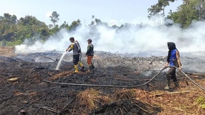 Upaya Pemadaman Karhutla 25 Hektare di Bengkalis Masih Terus Dilakukan Upaya Pemadaman Karhutla 25 Hektare di Bengkalis Masih Terus Dilakukan