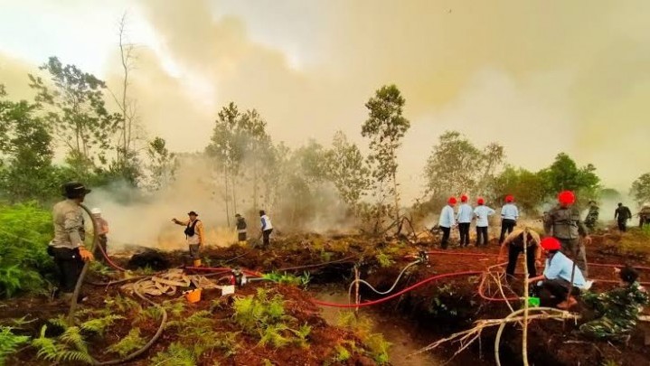 Polda Riau Mengaku Buru Pembakar Lahan Gambut di Dumai dan Bengkalis Polda Riau Mengaku Buru Pembakar Lahan Gambut di Dumai dan Bengkalis