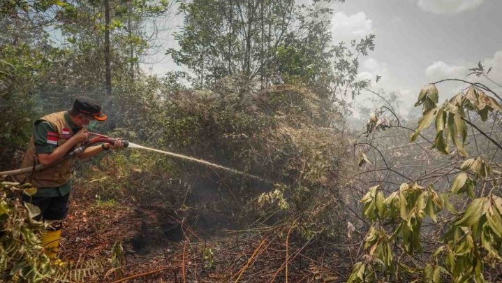 Gubri Minta Sosialisasi Cegah Karhutla Terus Dilakukan