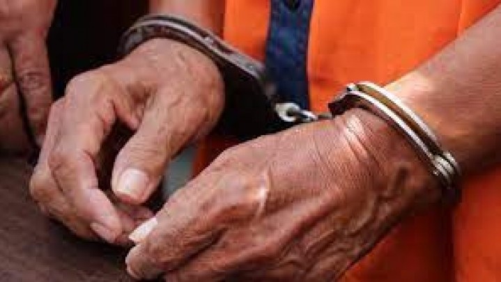 Polisi Ciduk 6 Orang Terkait Perjudian Higgs Domino di Bekong Batam Polisi Ciduk 6 Orang Terkait Perjudian Higgs Domino di Bekong Batam