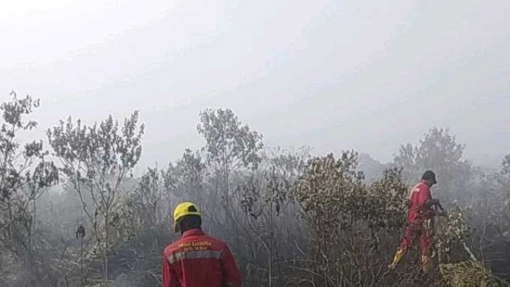 Sudah 406,38 Haktar Lahan di Riau Terbakar Sejak Awal Tahun