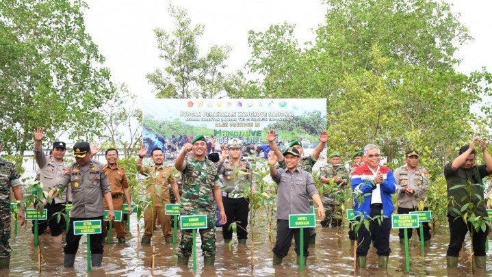 Mangrove Ditanam Atasi Abrasi di Pangkalan Jambi Bengkalis Mangrove Ditanam Atasi Abrasi di Pangkalan Jambi Bengkalis