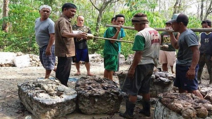 Terjadi Kenaikan Harga Jual Karet di Sebagian Daerah di Riau Terjadi Kenaikan Harga Jual Karet di Sebagian Daerah di Riau
