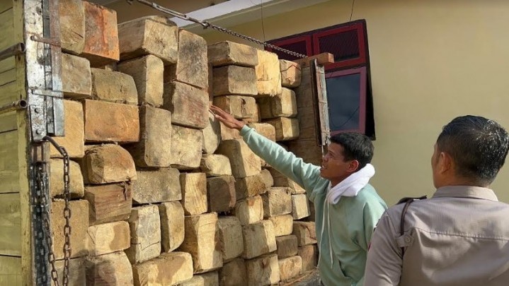 Polres Padang Pariaman Amankan Kayu Balok Hasil Ilog Polres Padang Pariaman Amankan Kayu Balok Hasil Ilog