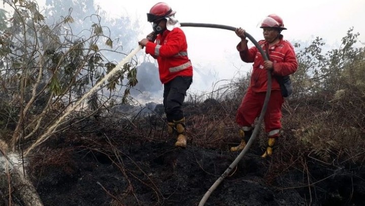 Karhutla di Dumai hingga Inhil Berhasil Dipadamkan