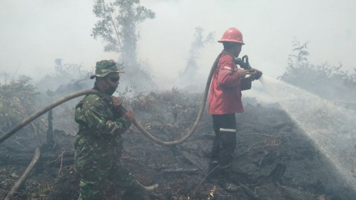 Rupat Kembali Dihantui Kebakaran Hutan dan Lahan Rupat Kembali Dihantui Kebakaran Hutan dan Lahan