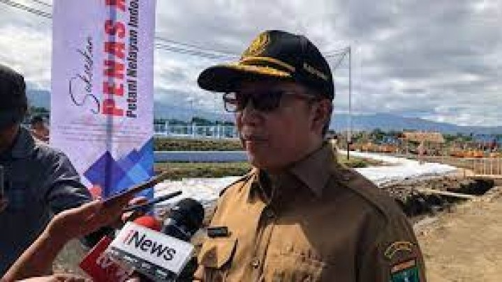 100 Hektare Lahan di Pessel Terbakar, Penyebabnya Belum Diketahui 100 Hektare Lahan di Pessel Terbakar, Penyebabnya Belum Diketahui