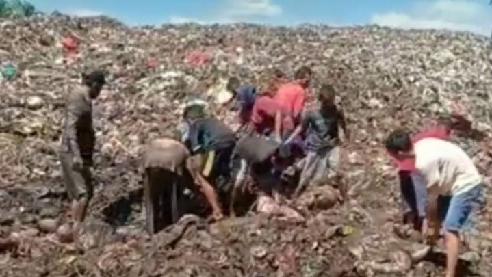 Warga Mengaku Hanya Penasaran Boyong Daging yang Dimusnahkan di Bengkalis Warga Mengaku Hanya Penasaran Boyong Daging yang Dimusnahkan di Bengkalis