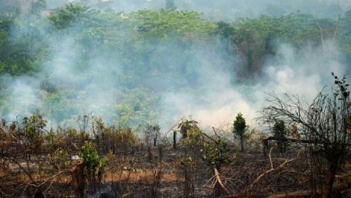 Di Wilayah Riau Terpantau 1 Titik Panas Di Wilayah Riau Terpantau 1 Titik Panas