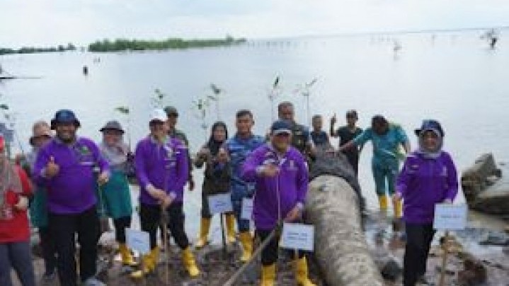 DLHK Riau Tanam 1.500 Bibit Mangrove di Pantai Marina Dumai DLHK Riau Tanam 1.500 Bibit Mangrove di Pantai Marina Dumai