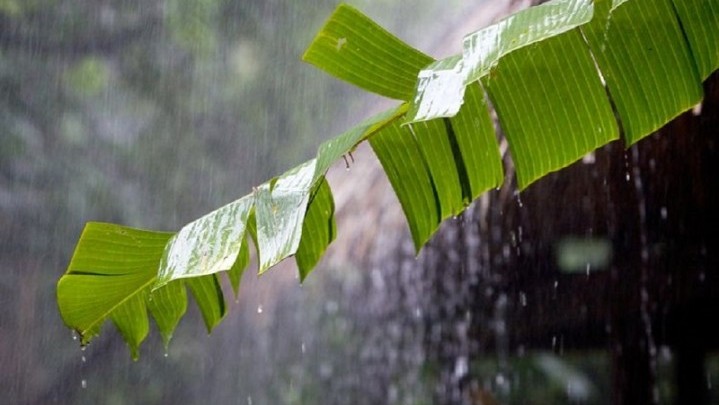 Wilayah Inhu hingga Inhil Malam Nanti Berpotensi Hujan Wilayah Inhu hingga Inhil Malam Nanti Berpotensi Hujan