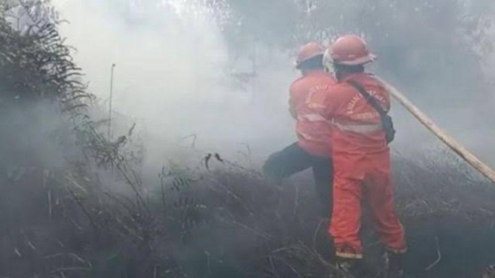 BPBD: Jumlah Hotspot dan Titik Api di Riau Meningkat BPBD: Jumlah Hotspot dan Titik Api di Riau Meningkat