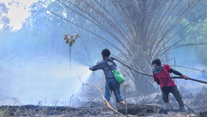10 Hektar Lahan di Giam Siak Kecil Terbakar