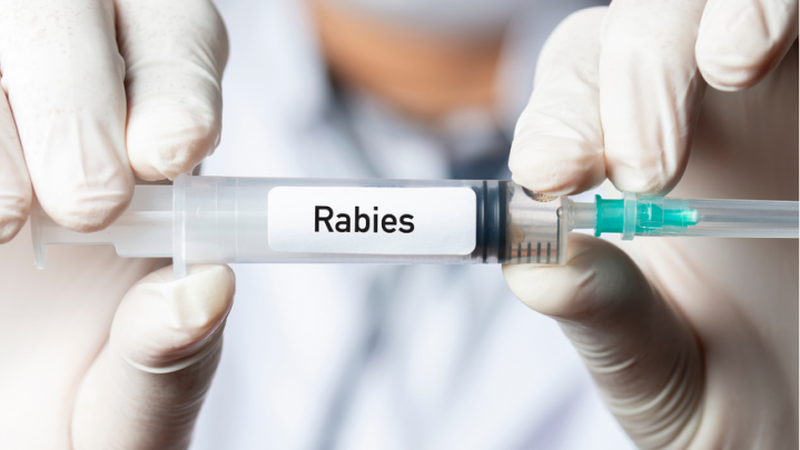 Siak Dapat 1.197 Dosis Vaksin Rabies Siak Dapat 1.197 Dosis Vaksin Rabies