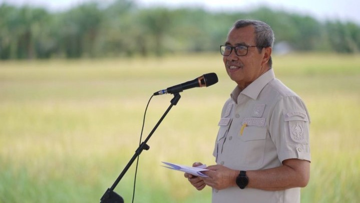 33,7 Persen Produksi Benih Padi di Riau Berasal dari Siak