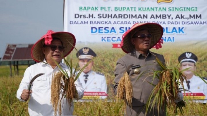 Pemkab Kuansing Siapkan Kecamatan Benai Sebagai Daerah Swasembada Pangan Pemkab Kuansing Siapkan Kecamatan Benai Sebagai Daerah Swasembada Pangan