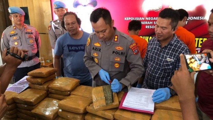 Peredaran 77 Paket Ganja Kering Digagalkan Polres Pariaman Peredaran 77 Paket Ganja Kering Digagalkan Polres Pariaman