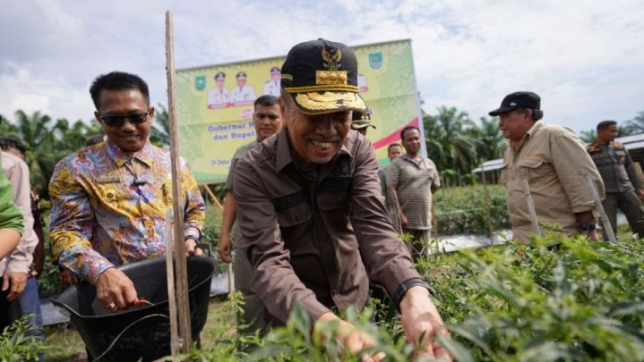 Panen Raya di Rohul, Gubri: Kami Menjaga Harga Pangan Panen Raya di Rohul, Gubri: Kami Menjaga Harga Pangan
