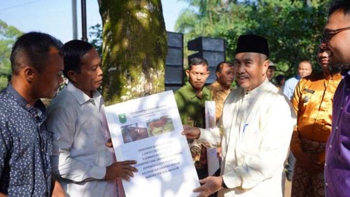 Gubri Serahkan Bantuan Sapi Ternak untuk Warga Tanjung Medan