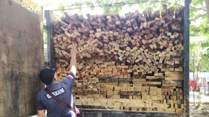 Gakkum KLHK Tangkap Pelaku Illegal Logging di Solok Selatan Gakkum KLHK Tangkap Pelaku Illegal Logging di Solok Selatan