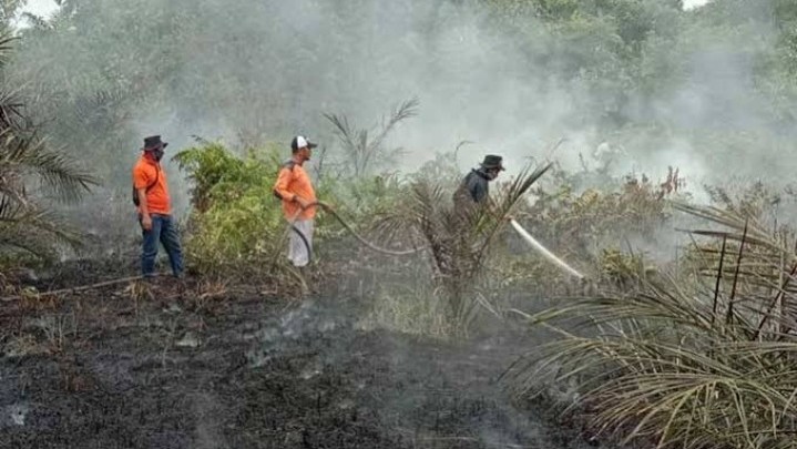 Lahan di Bangko Pusako Rohil Terbakar