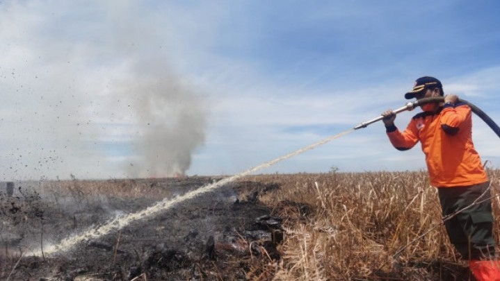 Karhutla di Desa Teluk Bano Rohil Berhasil Dipadamkan Karhutla di Desa Teluk Bano Rohil Berhasil Dipadamkan