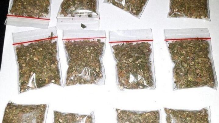 Peredaran Sekardus Ganja di Agam Digagalkan, Modus Kirim Lewat Ekspedisi Peredaran Sekardus Ganja di Agam Digagalkan, Modus Kirim Lewat Ekspedisi