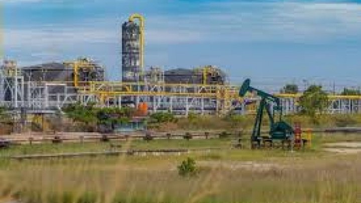 Elnusa Lakukan Kegiatan Seismik di Rohil Guna Tingkatkan Eksplorasi Elnusa Lakukan Kegiatan Seismik di Rohil Guna Tingkatkan Eksplorasi