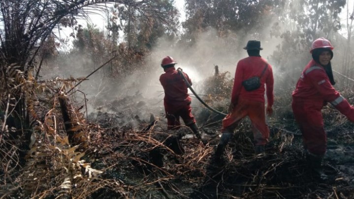10 Hektare Lebih Lahan Hutan Produksi Konversi di Desa Karya Indah Kampar Disegel KLHK