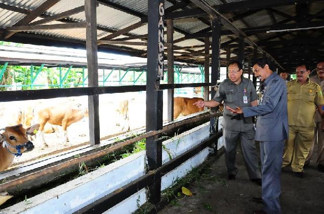 Wan Amir Firdaus saat meninjau Plaza Ternak jalan Hang Tuah ujung Wan Amir Firdaus saat meninjau Plaza Ternak jalan Hang Tuah ujung